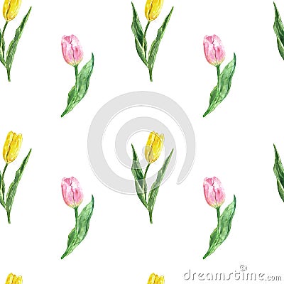 Tulips seamless pattern. Watercolor spring botanical background. Hand painted illustration Cartoon Illustration