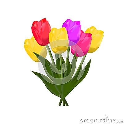 Tulips. vector Vector Illustration