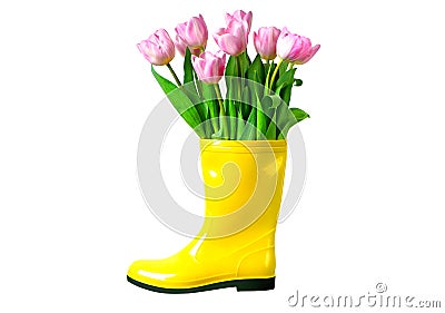 Tulips in the yellow rainboot isolated on white. Stock Photo