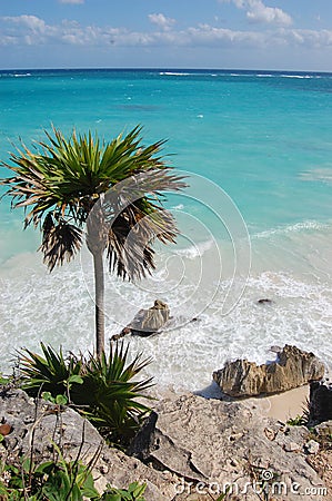 Tulum beach, Carribean sea Stock Photo