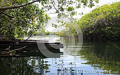 Cenote Encantado swimming area Stock Photo