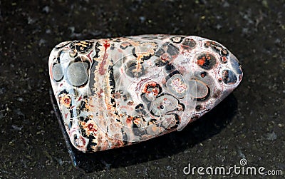 tumbled Leopard Skin Jasper, Jaguar Stone on black Stock Photo