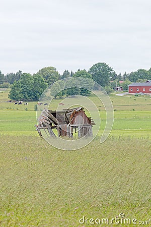 Tumbledown barn on a field Stock Photo