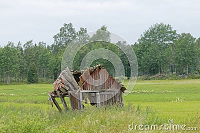 Tumbledown barn on a field Stock Photo