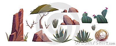 Tumbleweed, cactuses and rocks of sand desert Vector Illustration