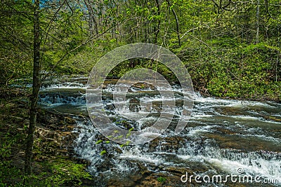 Tumbling waters trail in Ellijay, Georgia Stock Photo