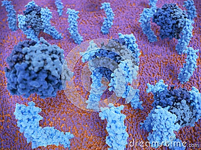 Tumor necrosis factor proteins binding to their receptors on a human cell Stock Photo