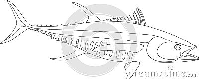 Tuna Vector Illustration