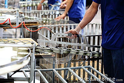 Tuna fish in can processing in manufactory Stock Photo
