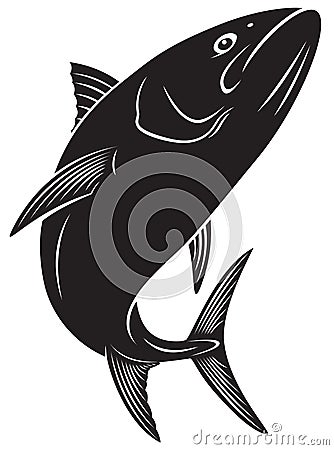 Tuna fish Vector Illustration