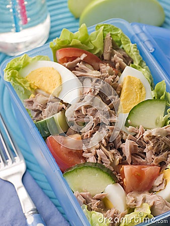 Tuna Salad Lunch Box Stock Photo