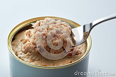 Tuna Spread Stock Photo