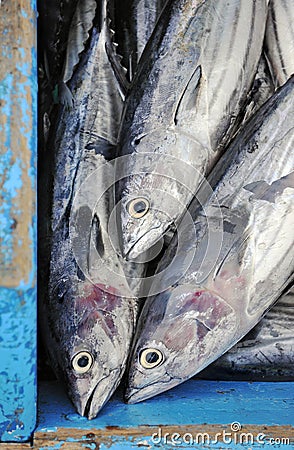 Tunafish on boat Stock Photo