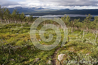 Tundra Landscape Stock Photo