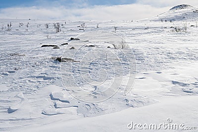 Tundra landscape created by the wind - Fjell landscape on a stormy freesing cold winter day in Norway Stock Photo