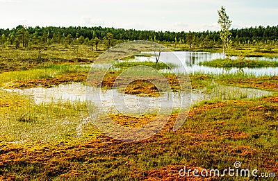 Tundra sooma estonia Stock Photo