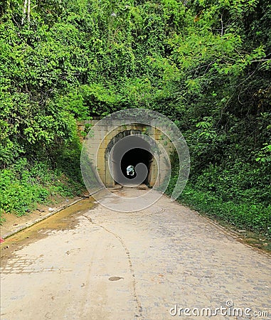 Tunel Down the mountains green plant train Stock Photo