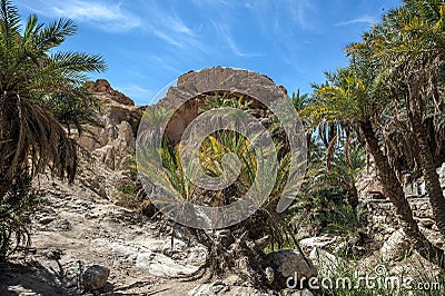 The oasis of Shebik is one of the ten most beautiful oases in th Stock Photo