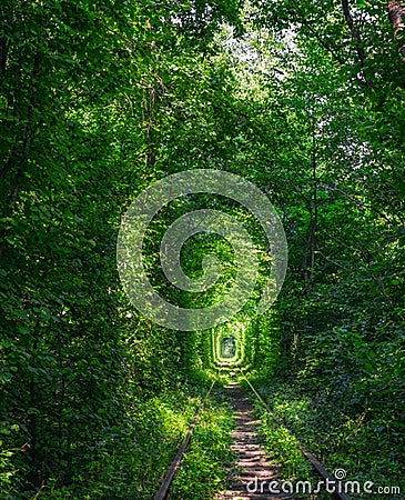 Tunnel of Love near Klevan, Ukraine Stock Photo