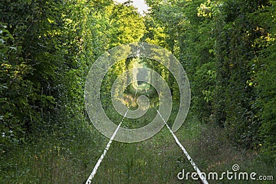 Tunnel of love Stock Photo