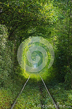 The tunnel of love on the railway. Stock Photo