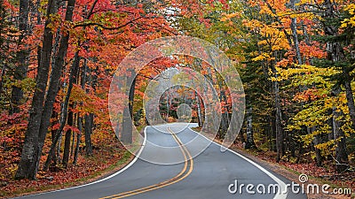 Tunnel of trees in autumn time in Michigan upper peninsula Stock Photo