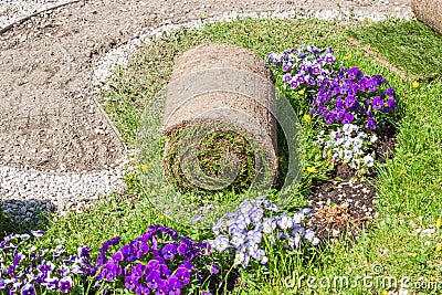 Turf roll prepared for unrolling on a lawn Stock Photo