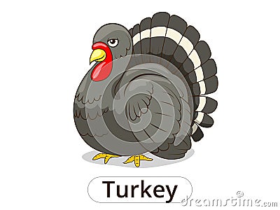 Turkey animal cartoon illustration for children Vector Illustration