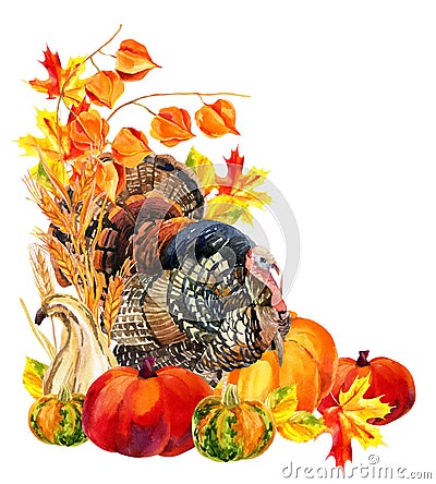 Turkey bird with harvest. Cartoon Illustration