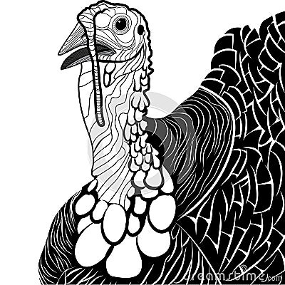 Turkey bird head as thanksgiving symbol Vector Illustration