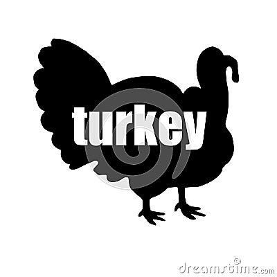 Turkey bird thanksgiving vector illustration holiday animal celebration poultry Vector Illustration