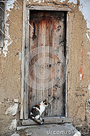 In turkey brown old craftmanship door and cat Stock Photo