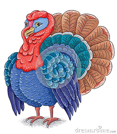 Turkey Vector Illustration