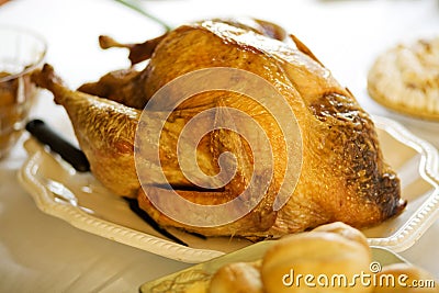 Turkey Dinner Stock Photo