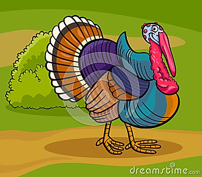 Turkey farm bird animal cartoon illustration Vector Illustration