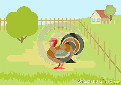 Turkey farm courtyard flat cartoon vector wild animals birds Vector Illustration