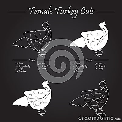 Turkey female cuts scheme Vector Illustration