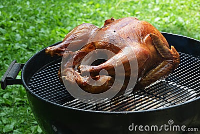 Turkey on Grill Stock Photo