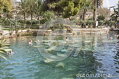 Antique Pool in Pamukkale is famous for it`s thermal spa. Editorial Stock Photo