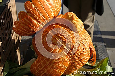 Turkey Pumpkin Stock Photo