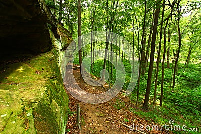 Turkey Run State Park Indiana Stock Photo