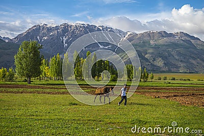 Turkey Tunceli Editorial Stock Photo