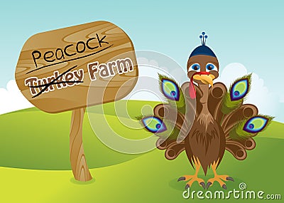 Turkey wearing a hat and peacock feathers Stock Photo