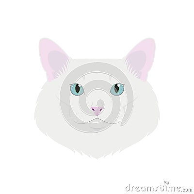 Turkish Angora cat isolated on white background vector illustration Vector Illustration