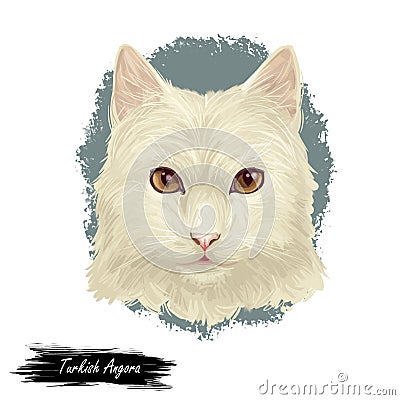 Turkish Angora kitten breed of domestic cat. White white Turkish Angora cat isolated domestic animal. Digital art illustration Cartoon Illustration