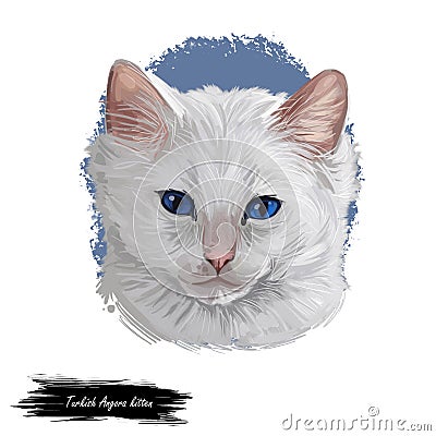 Turkish Angora kitten breed of domestic cat. White white Turkish Angora cat isolated domestic animal. Digital art illustration Cartoon Illustration