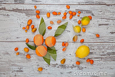 Turkish citrus fruits Stock Photo