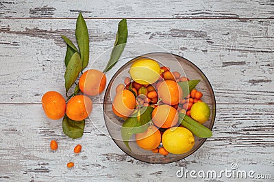 Turkish citrus fruits Stock Photo