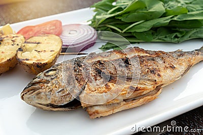 Turkish or Greek restaurant main course, sea bream fish grilled food dinner cuisine culture. Delicious grilled sea bream fish with Stock Photo