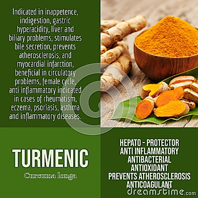 Turmenic - curcuma- herbalist advises with herbs benefits Stock Photo